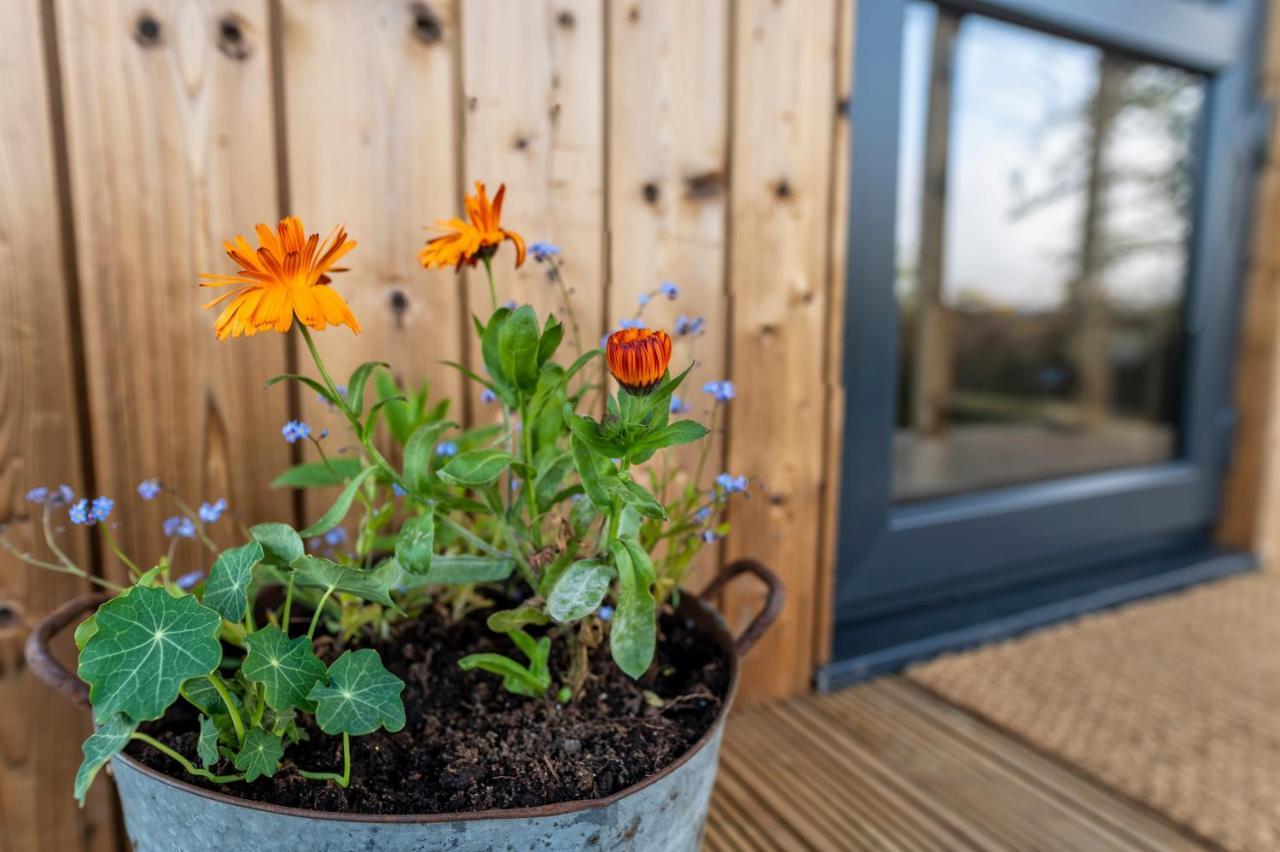 Luxury Glamping Cabin With Outdoor Bath On Cornish Flower Farm Truro Eksteriør billede
